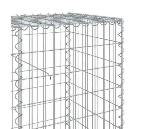 Kaanega Gabioonkorv, 800 X 50 X 100 cm Tsingitud Raud