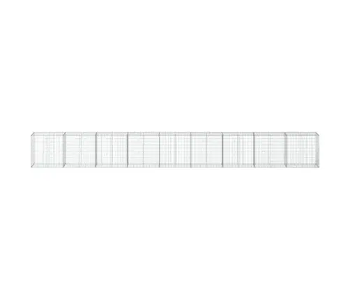 Kaanega Gabioonkorv, 900 X 50 X 100 cm Tsingitud Raud