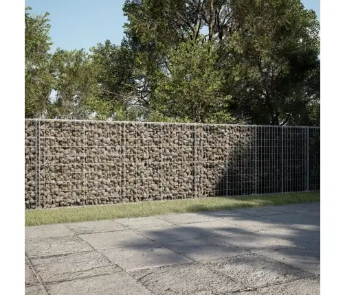 Kaanega Gabioonkorv, 900 X 50 X 100 cm Tsingitud Raud