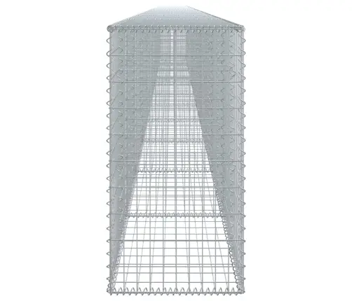 Kaanega Gabioonkorv, 1200 X 50 X 100 cm Tsingitud Raud