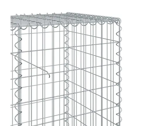 Kaanega Gabioonkorv, 1200 X 50 X 100 cm Tsingitud Raud