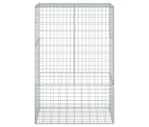 Gabiona Grozs Ar Vāku, 100X50X150 Cm, Cinkota Dzelzs Vidaxl