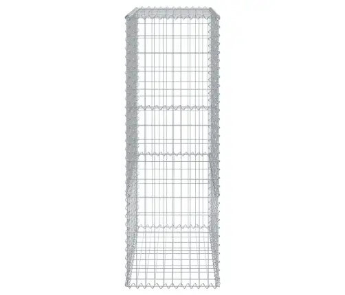 Gabiona Grozs Ar Vāku, 100X50X150 Cm, Cinkota Dzelzs Vidaxl