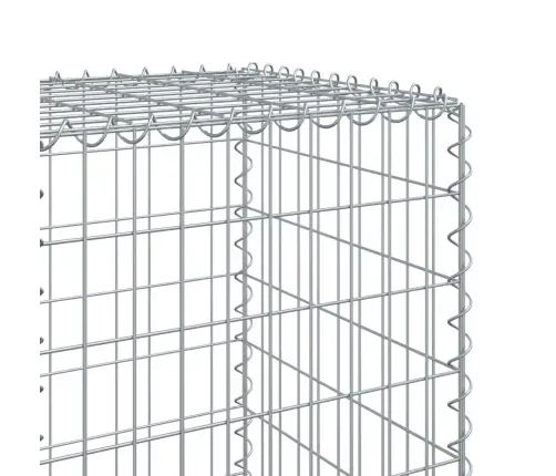 Gabiona Grozs Ar Vāku, 600X50X150 Cm, Cinkota Dzelzs Vidaxl