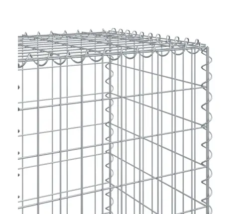 Gabiona Grozs Ar Vāku, 1000X50X150 Cm, Cinkota Dzelzs Vidaxl