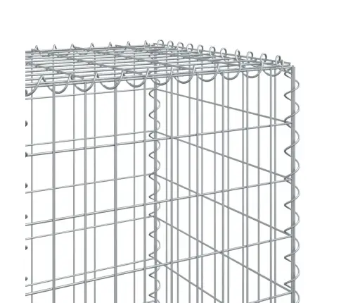 Kattega Gabioonkorv, 1200 X 50 X 150 cm Tsingitud Raud