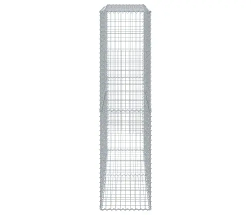 Gabiona Grozs Ar Vāku, 200X50X200 Cm, Cinkota Dzelzs Vidaxl