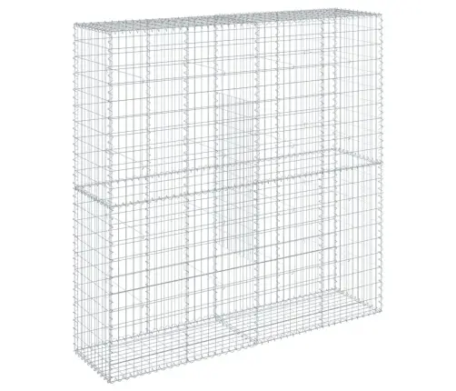 Gabiona Grozs Ar Vāku, 200X50X200 Cm, Cinkota Dzelzs Vidaxl