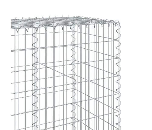 Kaanega Gabioonkorv, 300 X 50 X 200 cm Tsingitud Raud