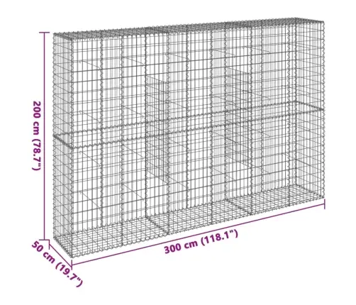 Kaanega Gabioonkorv, 300 X 50 X 200 cm Tsingitud Raud