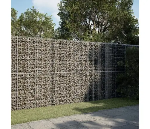 Kaanega Gabioonkorv, 300 X 50 X 200 cm Tsingitud Raud