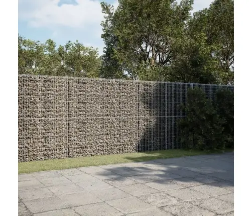 Kaanega Gabioonkorv, 1000X50X200 cm Tsingitud Raud