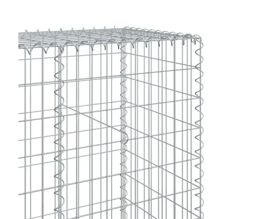 Kaanega Gabioonkorv, 1100X50X200 cm Tsingitud Raud
