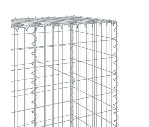 Kaanega Gabioonkorv, 1200 X 50 X 200 cm Tsingitud Raud
