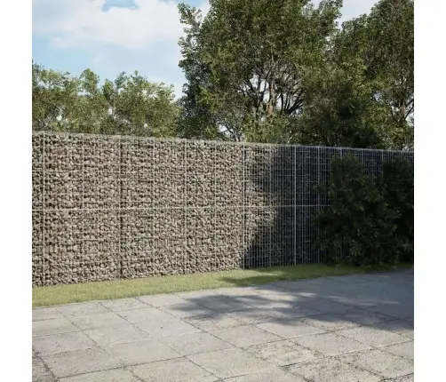 Kaanega Gabioonkorv, 1200 X 50 X 200 cm Tsingitud Raud