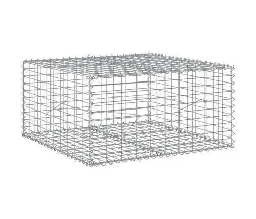 Gabiono Krepšys Su Dangčiu, 100X100X50cm Galvanizuota Geležis