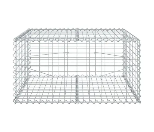 Gabiono Krepšys Su Dangčiu, 100X100X50cm Galvanizuota Geležis