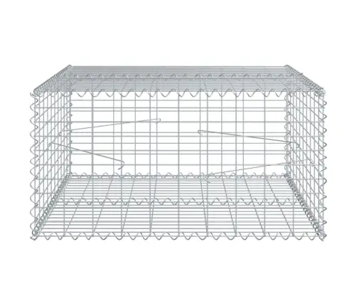 Gabiono Krepšys Su Dangčiu, 100X100X50cm Galvanizuota Geležis