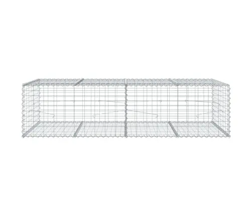 Kaanega Gabioonkorv, 200 X 100 X 50 cm Tsingitud Raud