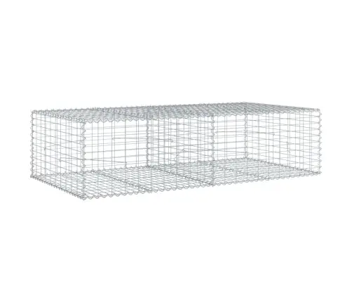 Kaanega Gabioonkorv, 200 X 100 X 50 cm Tsingitud Raud