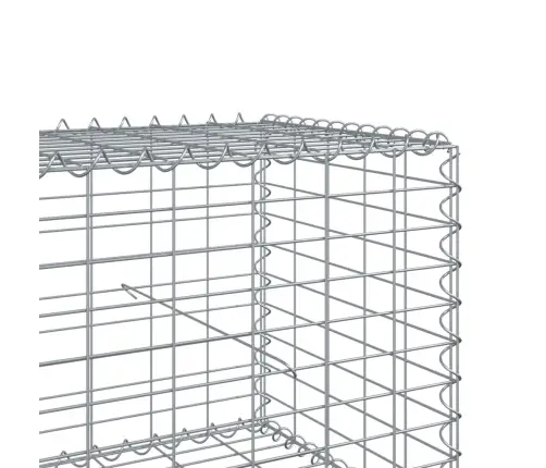 Kaanega Gabioonkorv, 200 X 100 X 50 cm Tsingitud Raud
