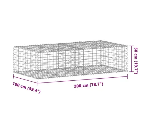 Kaanega Gabioonkorv, 200 X 100 X 50 cm Tsingitud Raud