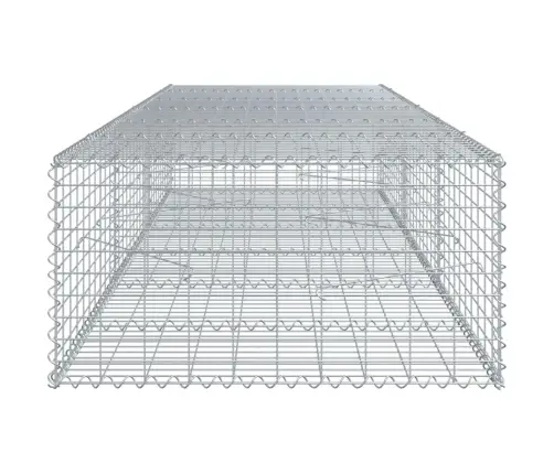 Gabiona Grozs Ar Vāku, 300X100X50 Cm, Cinkota Dzelzs Vidaxl