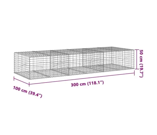 Gabiona Grozs Ar Vāku, 300X100X50 Cm, Cinkota Dzelzs Vidaxl