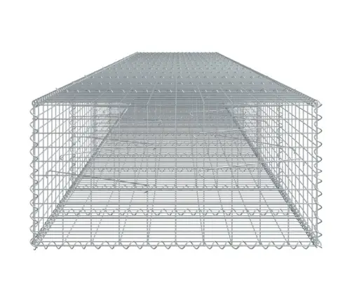 Kaanega Gabioonkorv, 700 X 100 X 50 cm Tsingitud Raud