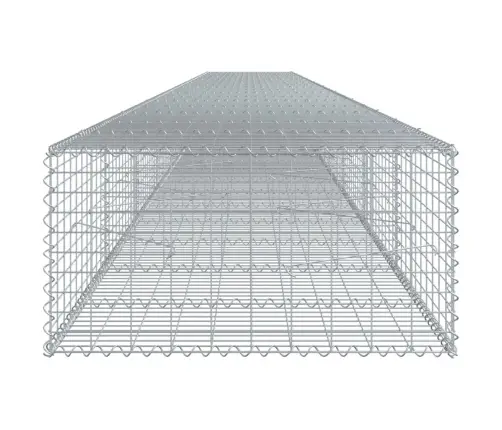 Kaanega Gabioonkorv, 1000X100X50 cm Tsingitud Raud