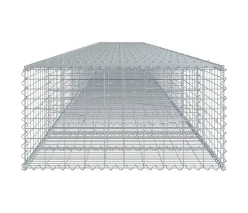 Kaanega Gabioonkorv, 1100 X 100 X 50 cm Tsingitud Raud