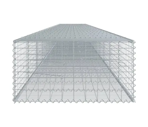 Kaanega Gabioonkorv, 1200 X 100 X 50 cm Tsingitud Raud