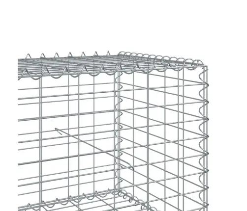 Kaanega Gabioonkorv, 1200 X 100 X 50 cm Tsingitud Raud
