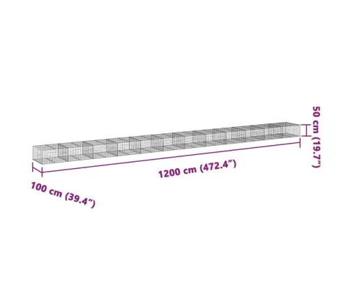 Kaanega Gabioonkorv, 1200 X 100 X 50 cm Tsingitud Raud
