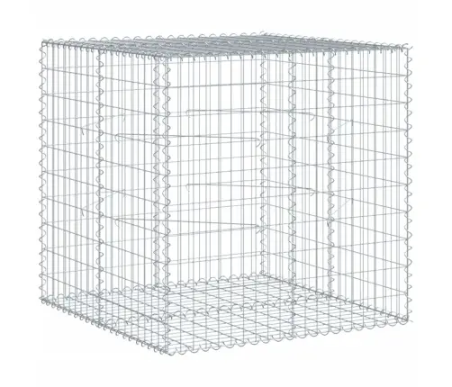 Gabiona Grozs Ar Vāku, 100X100X100 Cm, Cinkota Dzelzs Vidaxl