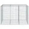 Kaanega Gabioonkorv, 150 X 100 X 100 cm Tsingitud Raud