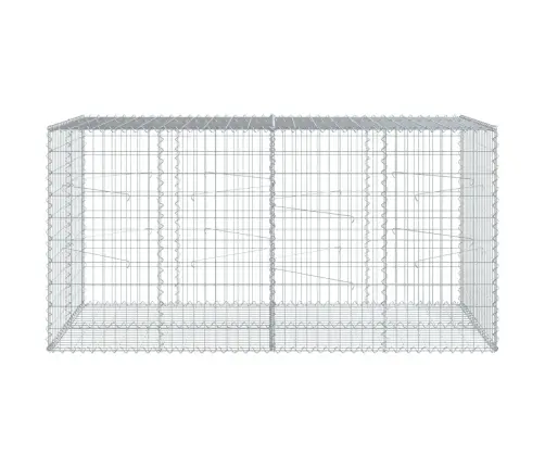 Gabiona Grozs Ar Vāku, 200X100X100 Cm, Cinkota Dzelzs Vidaxl