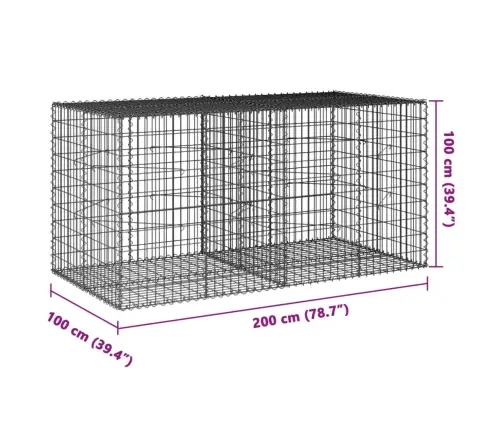 Gabiona Grozs Ar Vāku, 200X100X100 Cm, Cinkota Dzelzs Vidaxl
