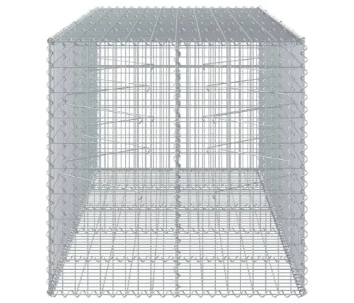Gabiono Krepšys Su Dangčiu, 250X100X100cm Galvanizuota Geležis