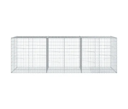 Kaanega Gabioonkorv, 300 X 100 X 100 cm Tsingitud Raud