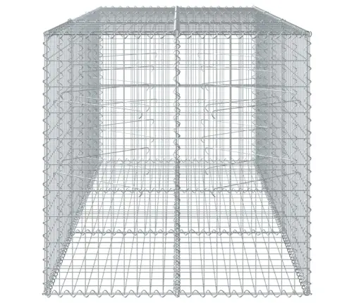 Kaanega Gabioonkorv, 300 X 100 X 100 cm Tsingitud Raud