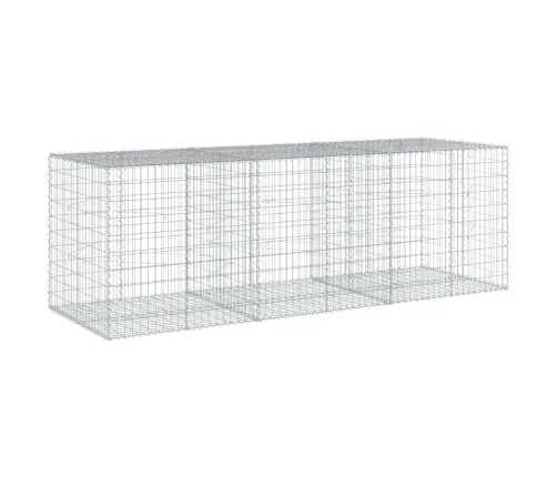 Kaanega Gabioonkorv, 300 X 100 X 100 cm Tsingitud Raud