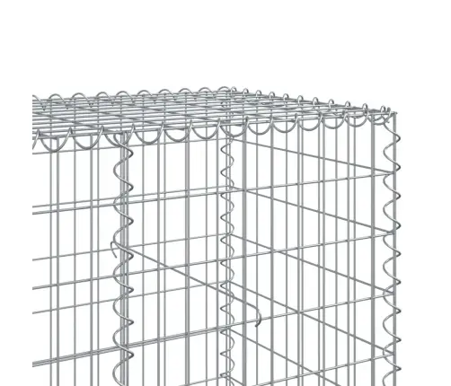 Kaanega Gabioonkorv, 300 X 100 X 100 cm Tsingitud Raud