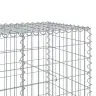 Kaanega Gabioonkorv, 300 X 100 X 100 cm Tsingitud Raud