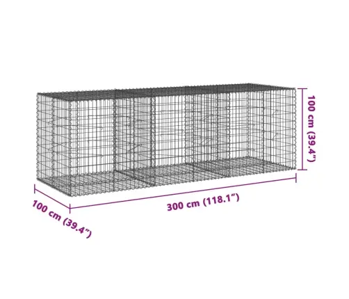 Kaanega Gabioonkorv, 300 X 100 X 100 cm Tsingitud Raud