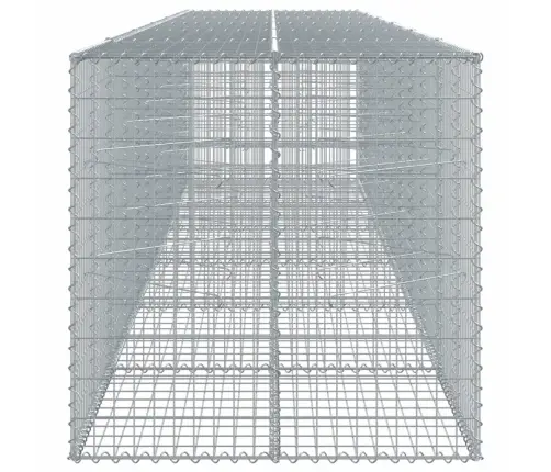 Kaanega Gabioonkorv, 600X100X100 cm Tsingitud Raud