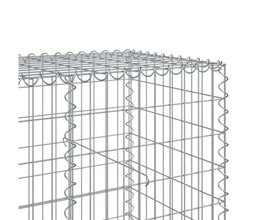 Kaanega Gabioonkorv, 600X100X100 cm Tsingitud Raud