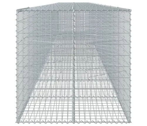 Kaanega Gabioonkorv, 1100 X 100 X 100 cm Tsingitud Raud