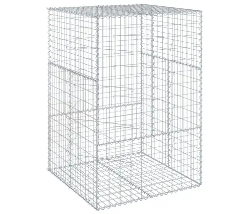 Kaanega Gabioonkorv, 100 X 100 X 150 cm Tsingitud Raud