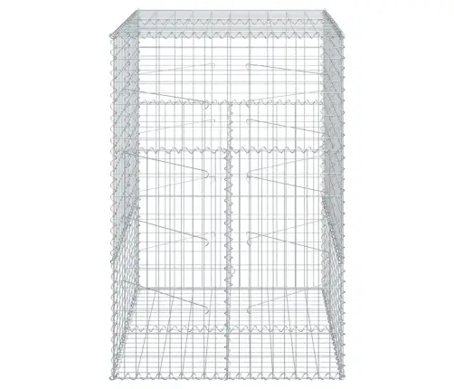 Kaanega Gabioonkorv, 100 X 100 X 150 cm Tsingitud Raud